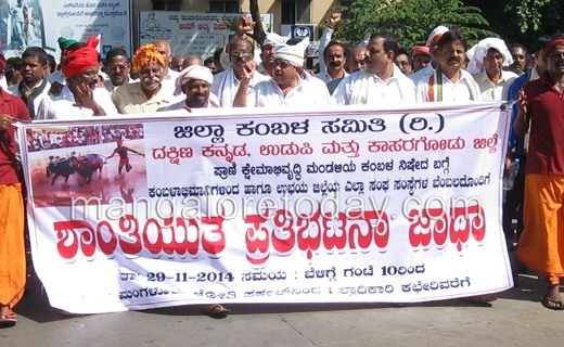 Kambala protes...